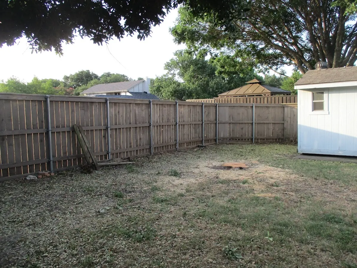 Cleared yard after professional tree removal in Brush Prairie